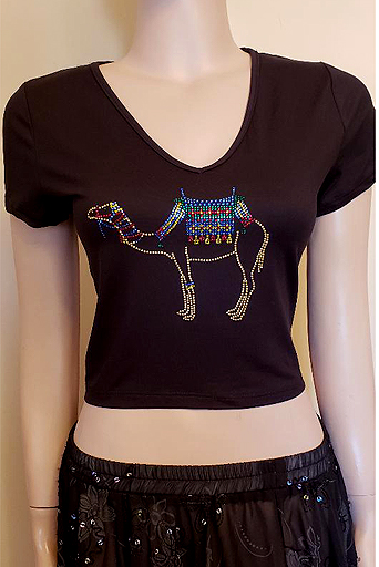 V-NECK MIDRIFF SHORT SLEEVES WITH CAMEL DESIGN IN SIZE MEDIUM $40.00